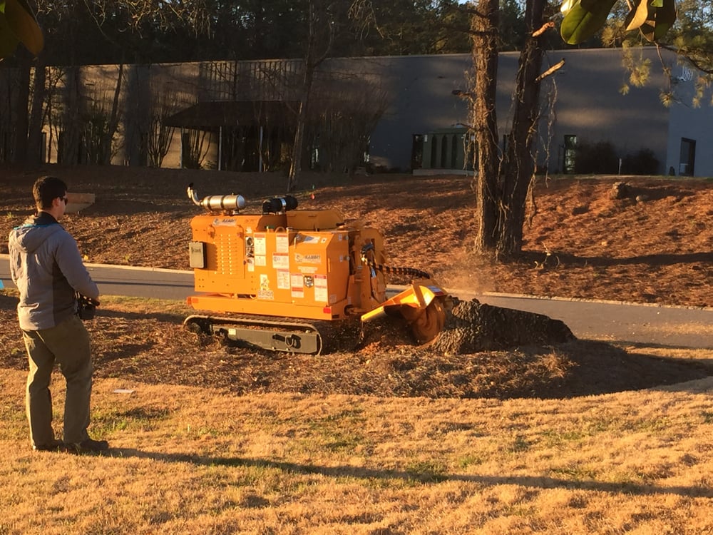 Stump and Grind - tree service in Atlanta, GA