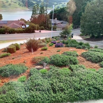 Bay Garden - a view of the bay from a window - Landscaping Near Me