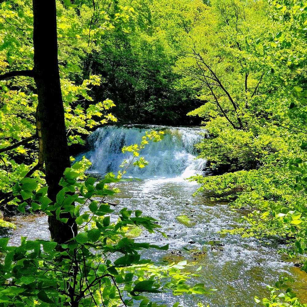 Wadsworth Falls State Park - Wadsworth Falls - Hiking Near Me - Middletown, Connecticut