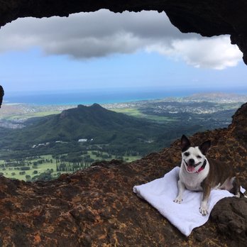 Pali Puka - Smores posing for a picture - Hiking Near Me - Nu'uanu Pali, Hawaii Pali Puka - Smores posing for a picture - Hiking Near Me - Nu'uanu Pali, Hawaii