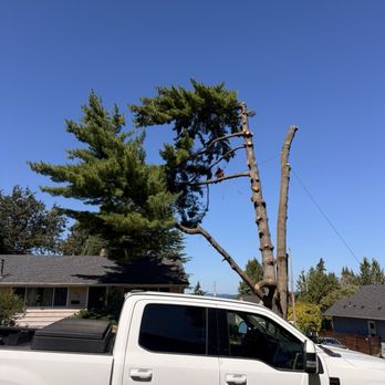 Integrity Tree Works - Tree Services Near Me - Newcastle, Washington Integrity Tree Works - Tree Services Near Me - Newcastle, Washington