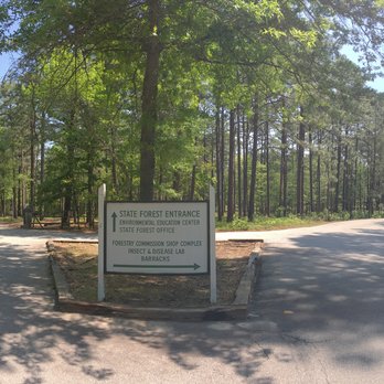 Harbison State Forest - This reminds me of that Robert Frost poem... - Hiking Near Me - Columbia, South Carolina Harbison State Forest - This reminds me of that Robert Frost poem... - Hiking Near Me - Columbia, South Carolina