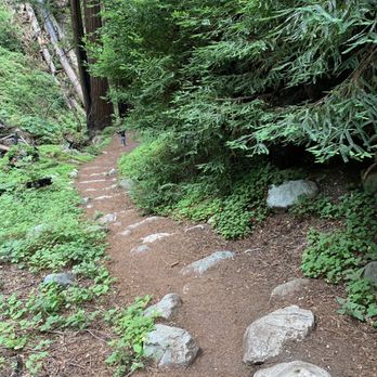Limekiln State Park - Hare Creek trail path is easy - Campgrounds Near Me - Big Sur, California