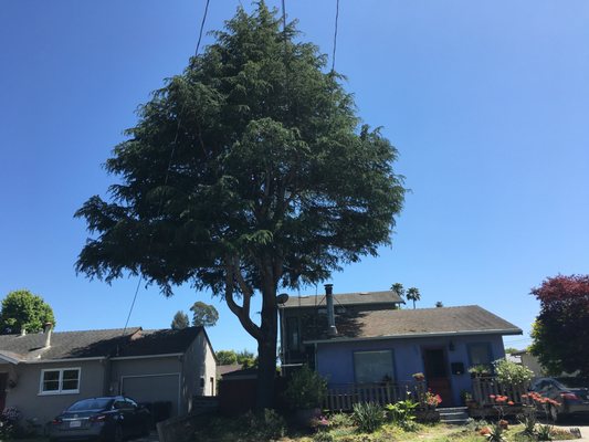 Trimming, Thinning & Full Tree Removals - We are a locally owned and operated tree service and property maintenance business with over 11 years of experience. We offer both commercial and residential services. We provide trimming, thinning and full removals of trees as well as aerial lift and gutter services. Emergency services are available and we are on call 24/7 to assist you. Call us today for a free consultation!