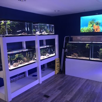 SharkBait - Aquarium Services Near Me - North Canton, Ohio SharkBait - Aquarium Services Near Me - North Canton, Ohio