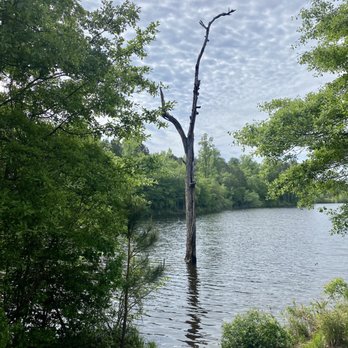 Arabia Mountain Trail - Climbing Near Me - Lithonia, Georgia