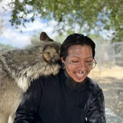 Wolf Mountain Sanctuary