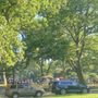 Photo of Forest Park Bandshell