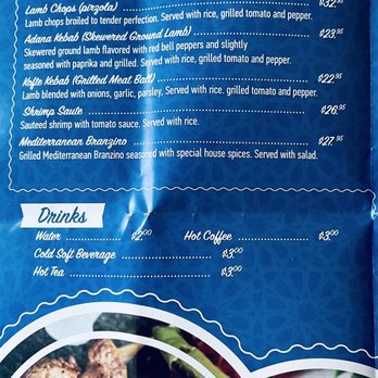 Sara's Mediterrean Grill - Main entrees Menu - Mediterranean Near Me - Wappingers Falls, New York