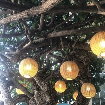 Hau Tree - Hau Tree with lanterns - Seafood Near Me - Honolulu, Hawaii Hau Tree - Hau Tree with lanterns - Seafood Near Me - Honolulu, Hawaii