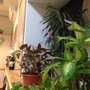Photo of Trattoria Da O' Dino