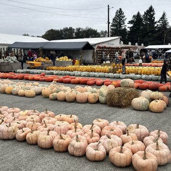 Knutson Farms - Farms Near Me - Sumner, Washington Knutson Farms - Farms Near Me - Sumner, Washington