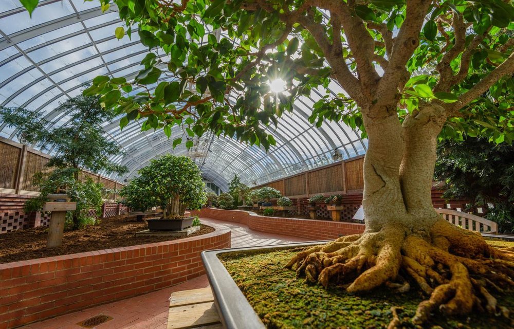 Phipps Conservatory and Botanical Gardens