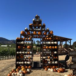 Prancers Farm