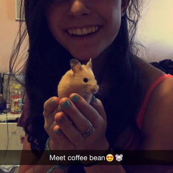 Petco - New hamster coffee bean - Pet Training Near Me - Denver, Colorado Petco - New hamster coffee bean - Pet Training Near Me - Denver, Colorado