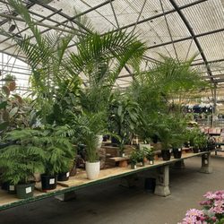 99 Nursery & Florist