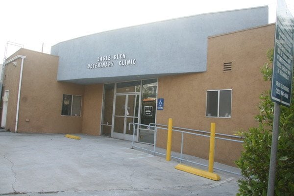 glen veterinary clinic