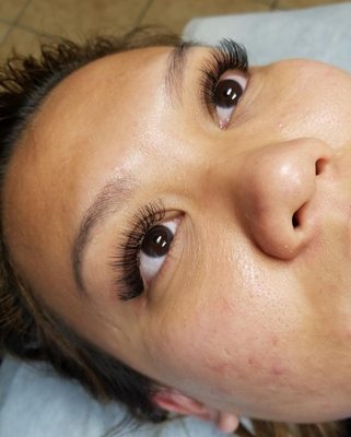 Wink Lashes by null