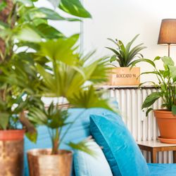 Boutique Hostel Kremer