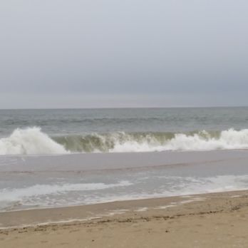 Cape Henlopen State Park - Parks Near Me - Lewes, Delaware Cape Henlopen State Park - Parks Near Me - Lewes, Delaware