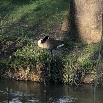 Arbuckle Acres Park - Parks Near Me - Brownsburg, Indiana
