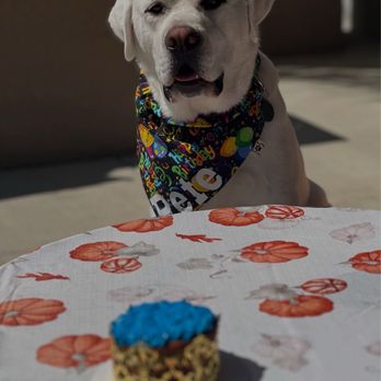 Pawtriotic Dog Bakery - Pet Stores Near Me - Murrieta, California Pawtriotic Dog Bakery - Pet Stores Near Me - Murrieta, California