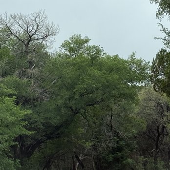 Walnut Creek Metropolitan Park - Parks Near Me - Austin, Texas Walnut Creek Metropolitan Park - Parks Near Me - Austin, Texas