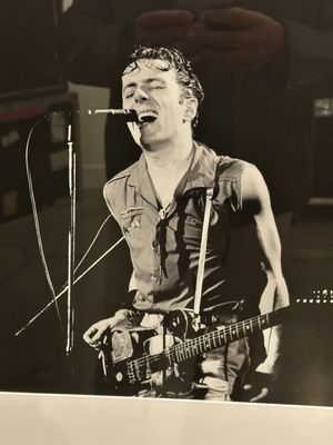 The Punk Rock Museum by null