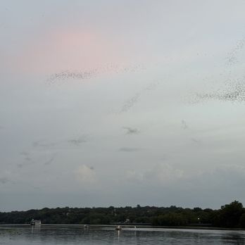 Capital Cruises - Boat Charters Near Me - Austin, Texas