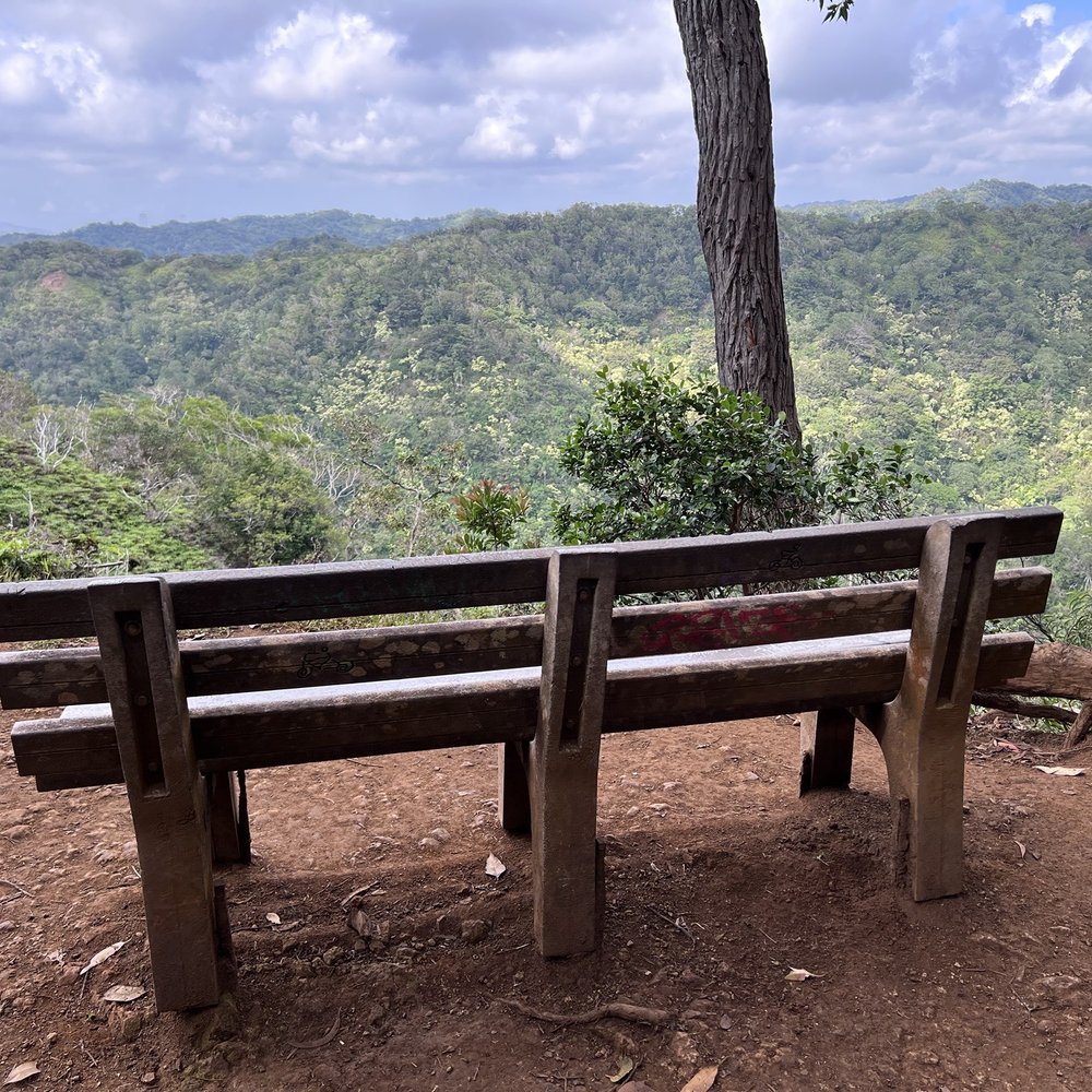 Aiea Loop Trail - Sit & Chill - Hiking Near Me - Aiea, Hawaii