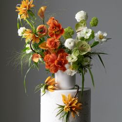 Wild North Flowers - Spring Blooms