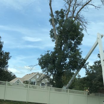 Howard Forest & Prairie - Tree Services Near Me - Muscatine, Iowa