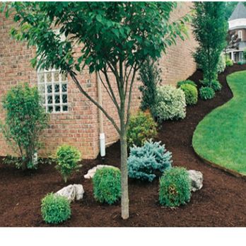 Gardening Dash - Gardeners Near Me - Columbia, South Carolina