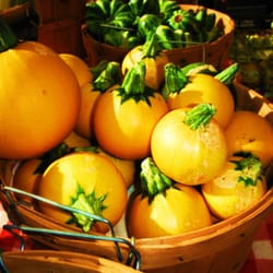 Blackland Prarie Family Farm
