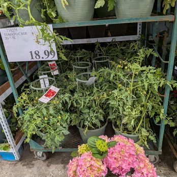 Costco - 4/16/26 - Wholesale Stores Near Me - South San Francisco, California Costco - 4/16/26 - Wholesale Stores Near Me - South San Francisco, California