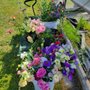 Windcrest Farm Organics
