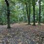 Photo of Sachsenhain