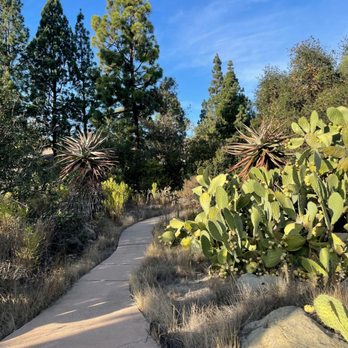 Turtle Rock Community Park (Turtle Rock Nature Center) photo 9