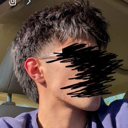 Modern Mullet