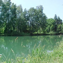 Etang du marais