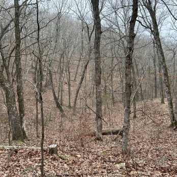 Labarque Creek Conservation Area - Hiking Near Me