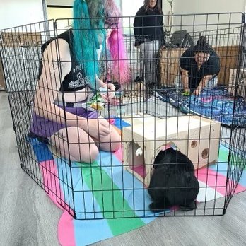 Sunshine Rabbit Center - Volunteers socializing rescued rabbits - Pet Groomers Near Me - Long Beach, California Sunshine Rabbit Center - Volunteers socializing rescued rabbits - Pet Groomers Near Me - Long Beach, California