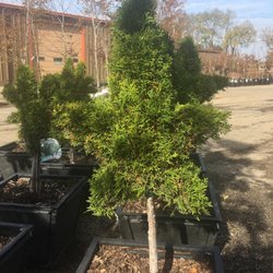 Anne's Garden Center