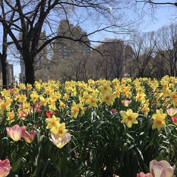 Central Park - Parks Near Me - New York, New York Central Park - Parks Near Me - New York, New York