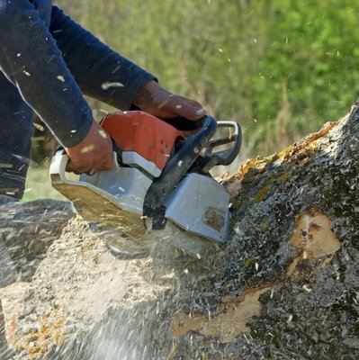 Kanaskat Tree Service ! - At Kanaskat Tree Service, we offer a wide range of tree services including tree trimming, tree removal, stump grinding, chipping and more. We use the latest tools and techniques to ensure that your trees are healthy and beautiful. Contact us today to learn more about our services. Yes, we are fully licensed, bonded and insured. Kanaskat Tree Service ! - At Kanaskat Tree Service, we offer a wide range of tree services including tree trimming, tree removal, stump grinding, chipping and more. We use the latest tools and techniques to ensure that your trees are healthy and beautiful. Contact us today to learn more about our services. Yes, we are fully licensed, bonded and insured.