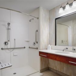 Hampton Inn Waynesboro - Guest room bath