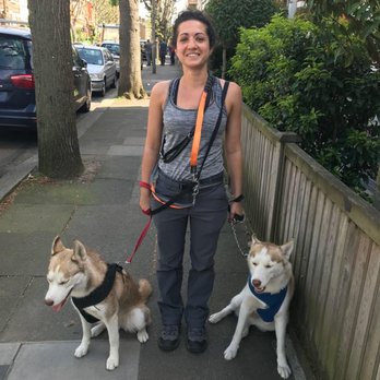 Pets Connections - Dog Walkers Near Me - London, LND