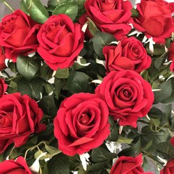 Schnucks - Lake St Louis - #alltheroses