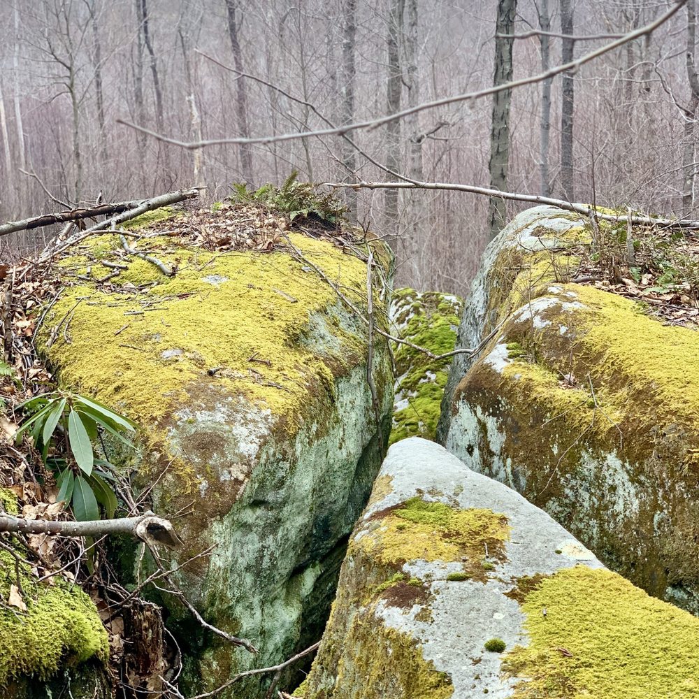 Forbes State Forest - Rock cliffs - Hiking Near Me - Laughlintown, Pennsylvania Forbes State Forest - Rock cliffs - Hiking Near Me - Laughlintown, Pennsylvania