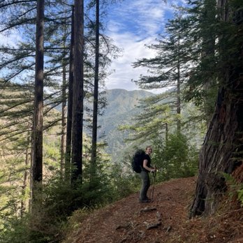 Big Sur Station - You can also learn about trail conditions or problems that might trip you up, so you can stay on the good trial! - Active Life Near Me - Big Sur, California Big Sur Station - You can also learn about trail conditions or problems that might trip you up, so you can stay on the good trial! - Active Life Near Me - Big Sur, California